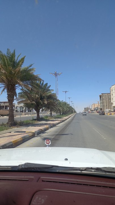 مشاركاتي في أنت الراصد