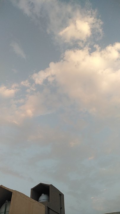 مشاركاتي في أنت الراصد