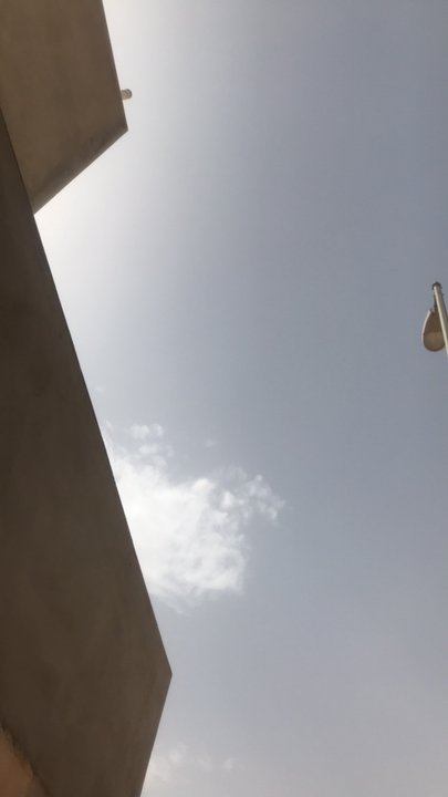 مشاركاتي في أنت الراصد