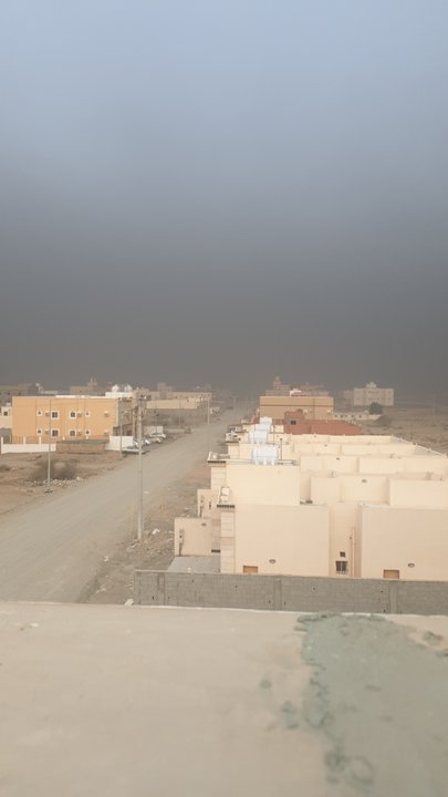 مشاركاتي في أنت الراصد