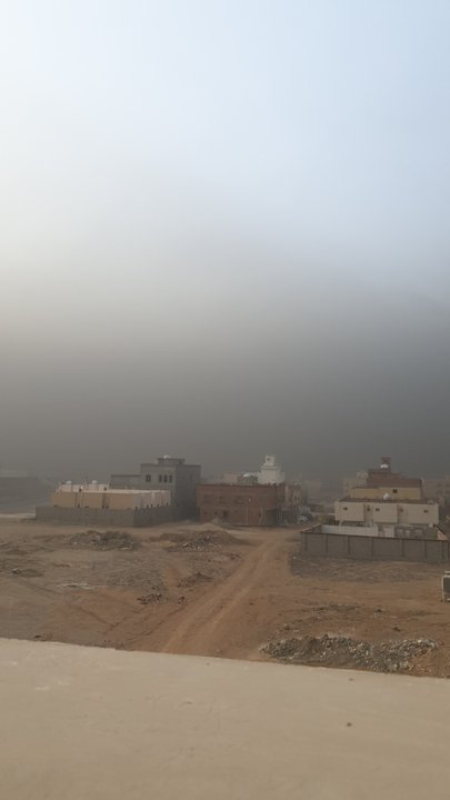 مشاركاتي في أنت الراصد