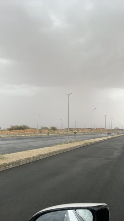 مشاركاتي في أنت الراصد