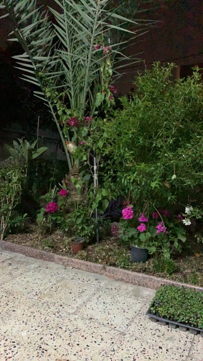 My Crowdsourcing Posts