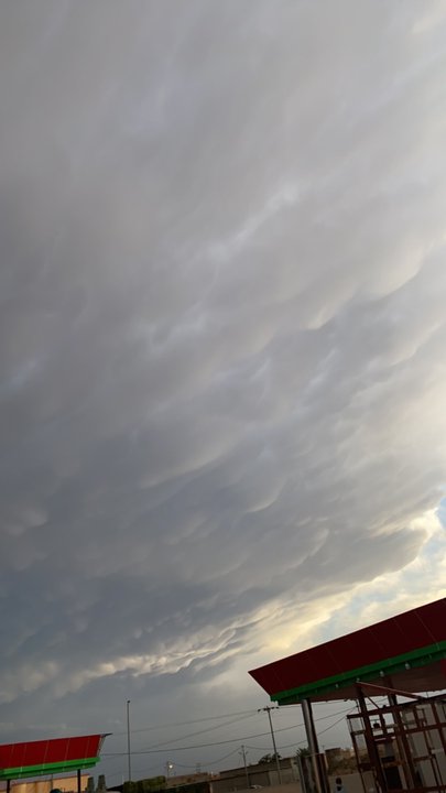 مشاركاتي في أنت الراصد