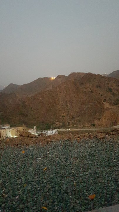 مشاركاتي في أنت الراصد