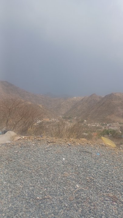 Mes publications Crowdsourcing