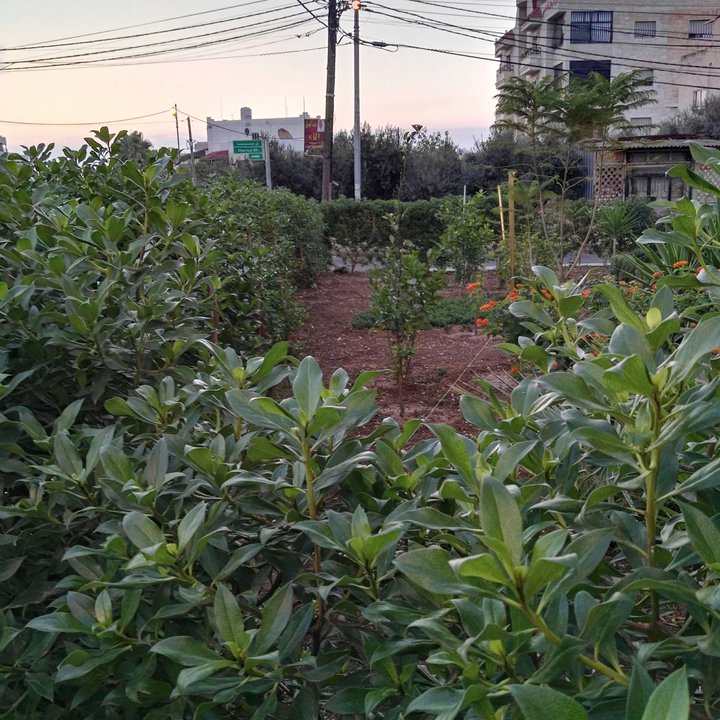 My Crowdsourcing Posts