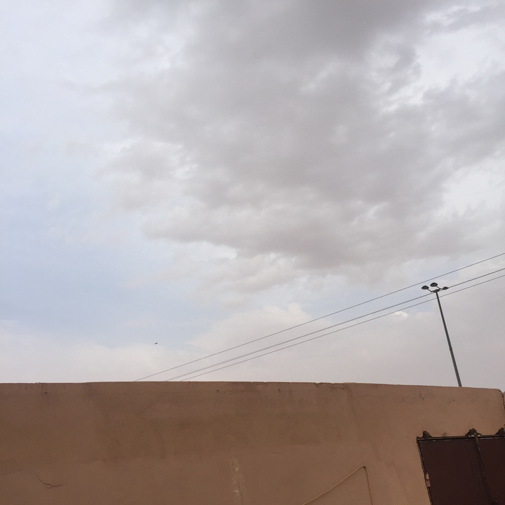 مشاركاتي في أنت الراصد