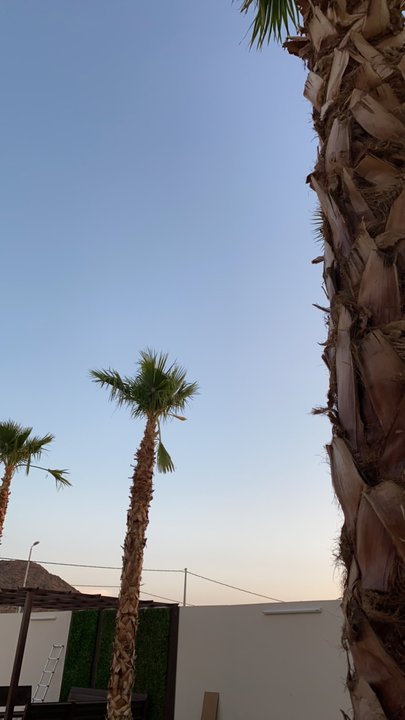 مشاركاتي في أنت الراصد