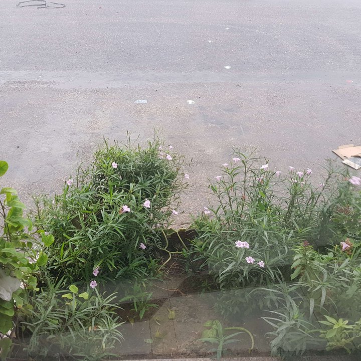 My Crowdsourcing Posts