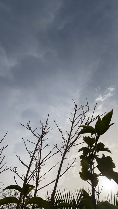 مشاركاتي في أنت الراصد