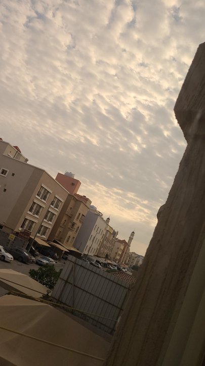 مشاركاتي في أنت الراصد