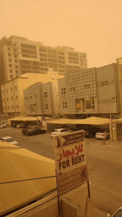 مشاركاتي في أنت الراصد