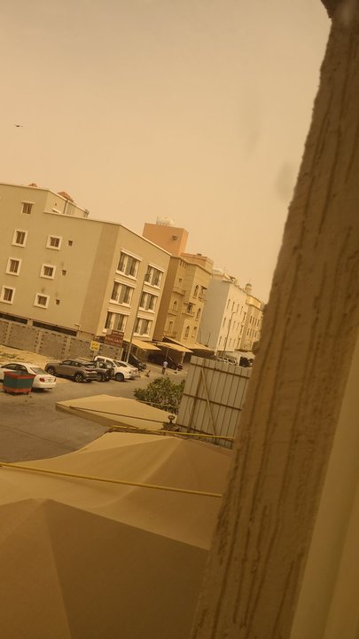 مشاركاتي في أنت الراصد