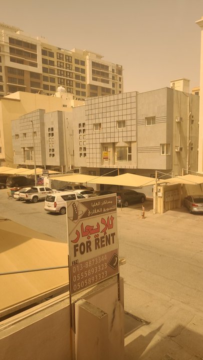 مشاركاتي في أنت الراصد