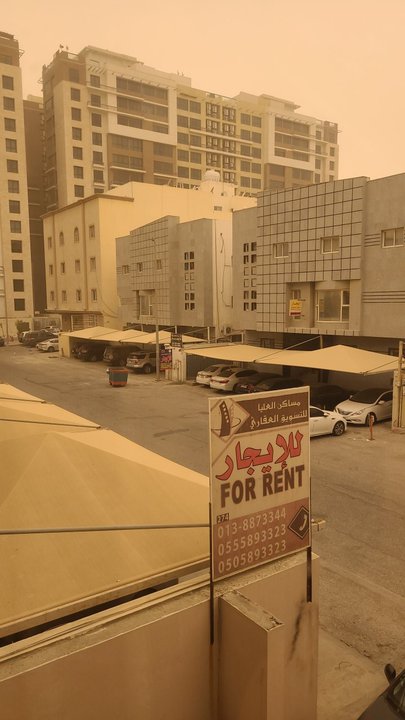 مشاركاتي في أنت الراصد