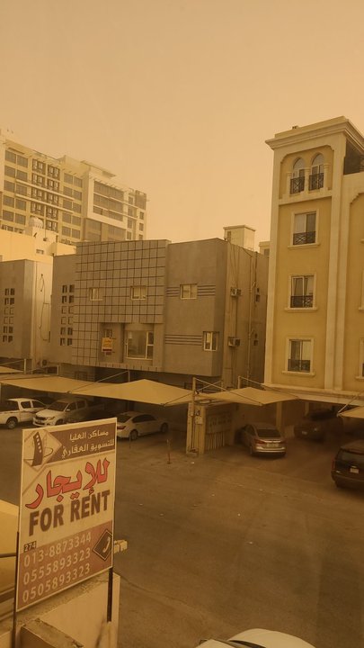 مشاركاتي في أنت الراصد