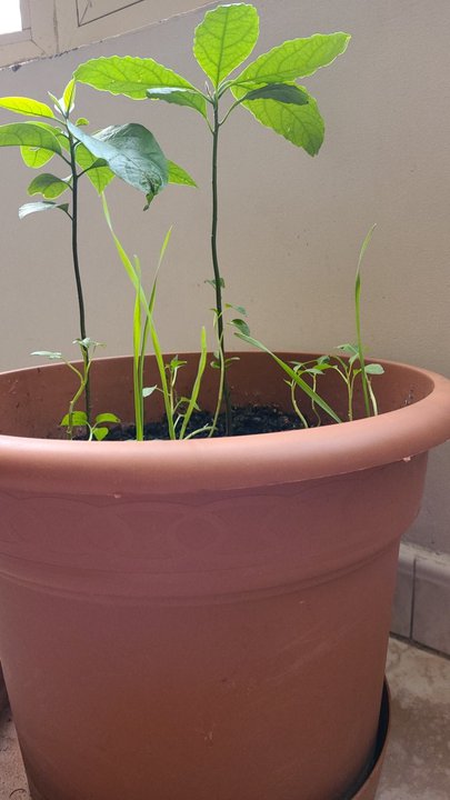 مشاركاتي في أنت الراصد