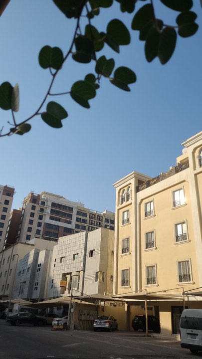 مشاركاتي في أنت الراصد