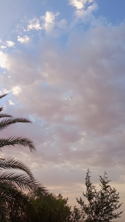 مشاركاتي في أنت الراصد