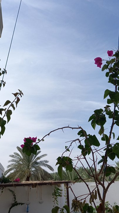 مشاركاتي في أنت الراصد