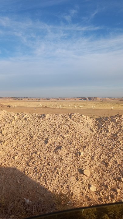 مشاركاتي في أنت الراصد