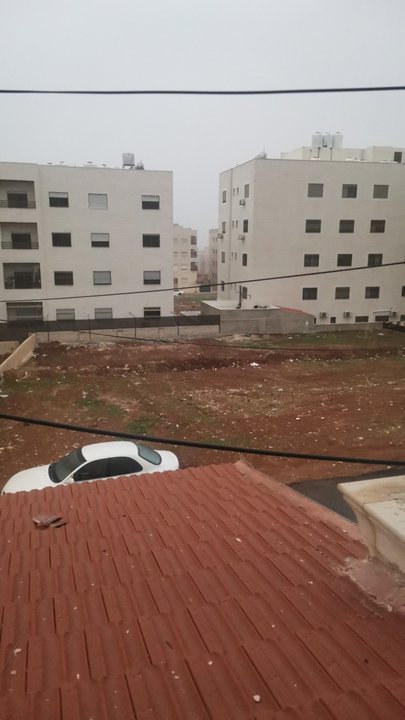 مشاركاتي في أنت الراصد