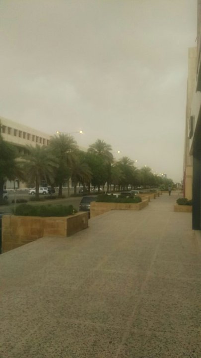 مشاركاتي في أنت الراصد