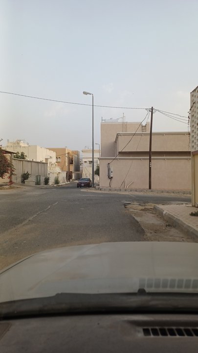 مشاركاتي في أنت الراصد