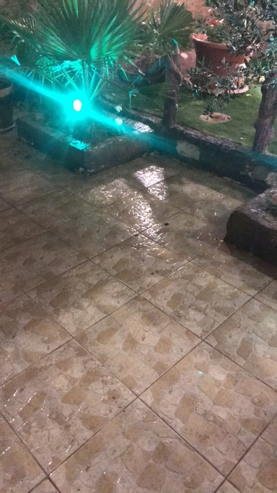 مشاركاتي في أنت الراصد