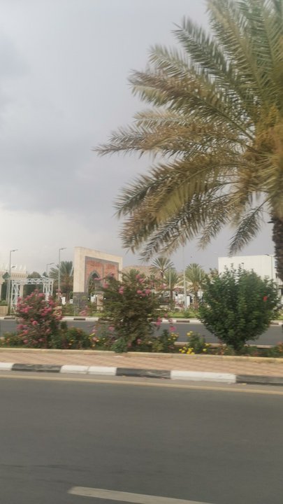 مشاركاتي في أنت الراصد