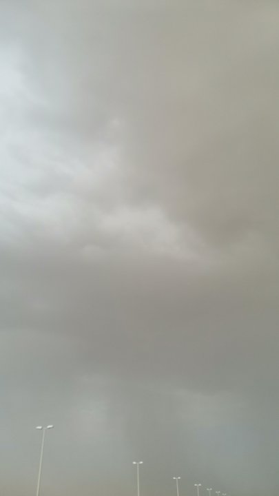 مشاركاتي في أنت الراصد