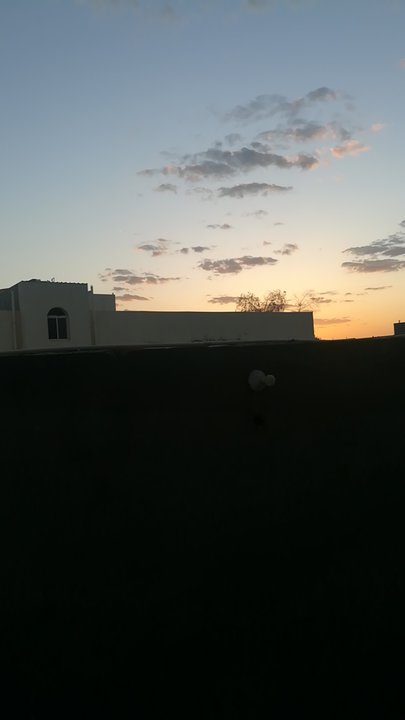 مشاركاتي في أنت الراصد