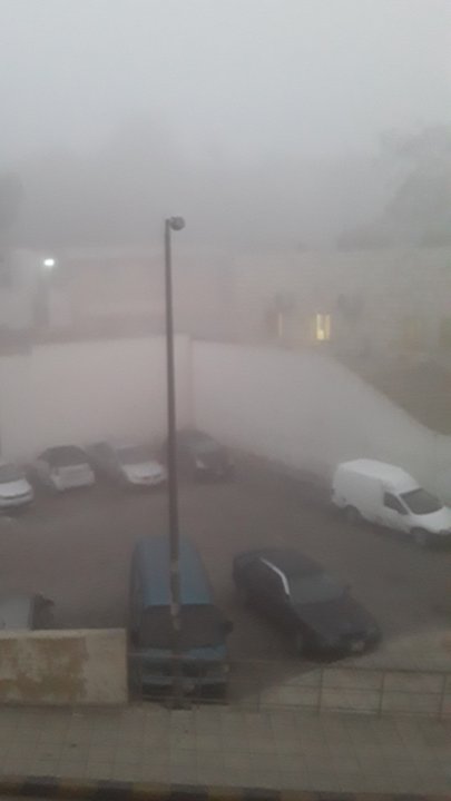 مشاركاتي في أنت الراصد