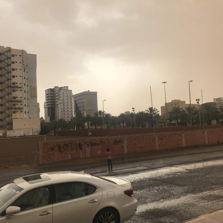 مشاركاتي في أنت الراصد