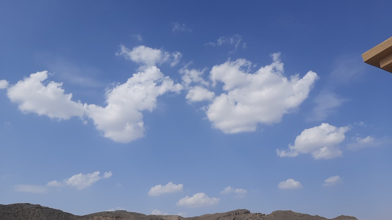 مشاركاتي في أنت الراصد