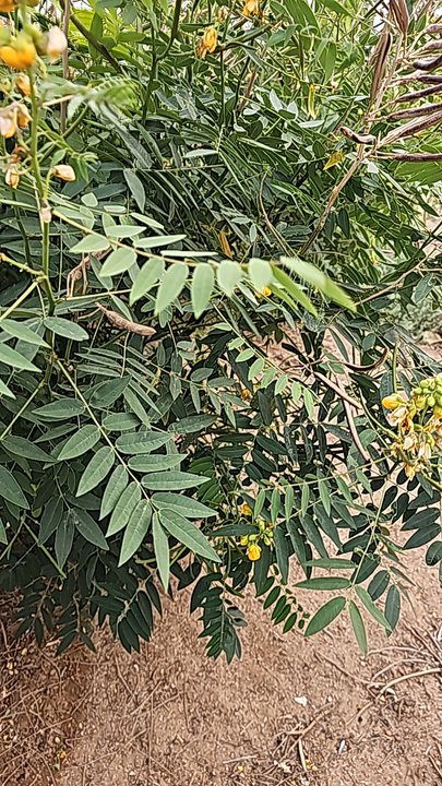 Mes publications Crowdsourcing