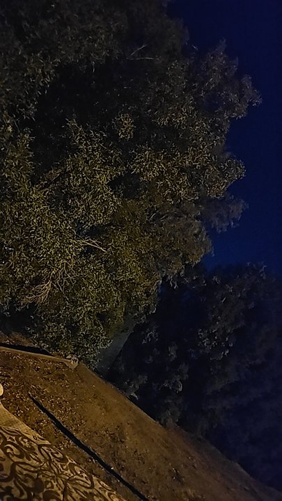 Mes publications Crowdsourcing