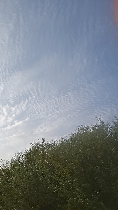 Mes publications Crowdsourcing