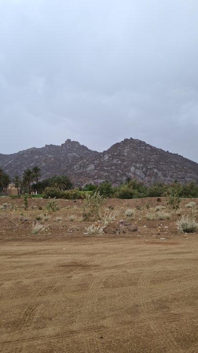 مشاركاتي في أنت الراصد