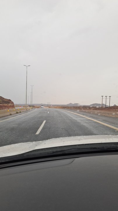 مشاركاتي في أنت الراصد