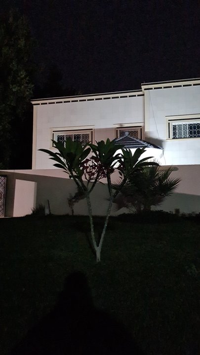 مشاركاتي في أنت الراصد