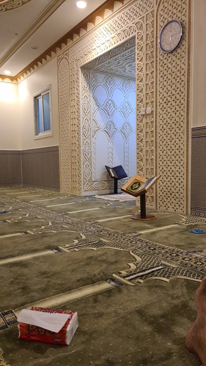 مشاركاتي في أنت الراصد