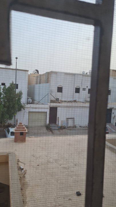 مشاركاتي في أنت الراصد