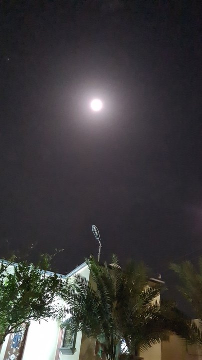 مشاركاتي في أنت الراصد