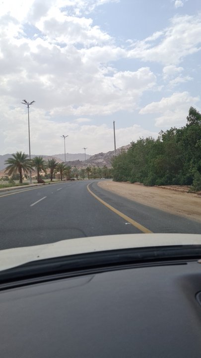 مشاركاتي في أنت الراصد