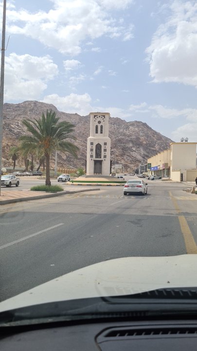 مشاركاتي في أنت الراصد