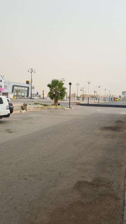 مشاركاتي في أنت الراصد