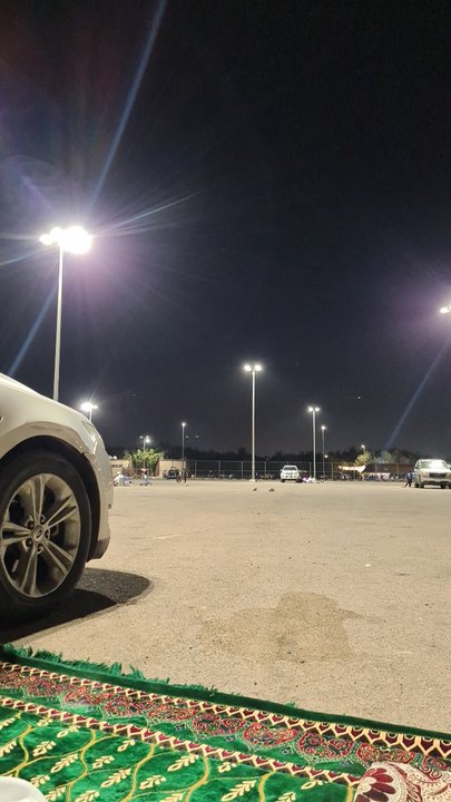 مشاركاتي في أنت الراصد