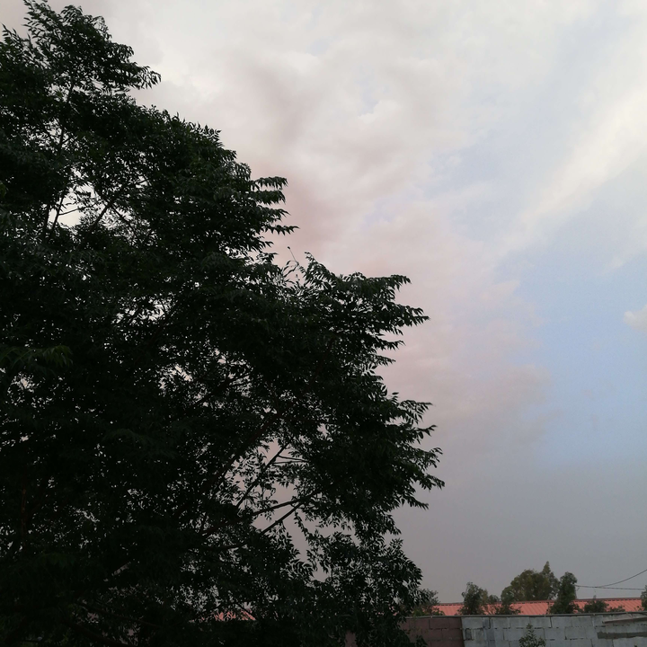 مشاركاتي في أنت الراصد